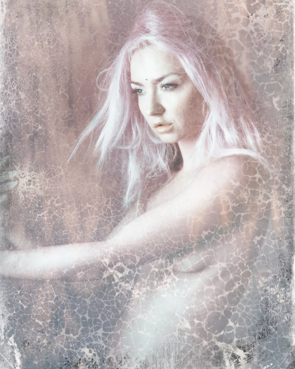 Denisa 2019